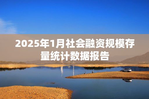 2025年1月社会融资规模存量统计数据报告