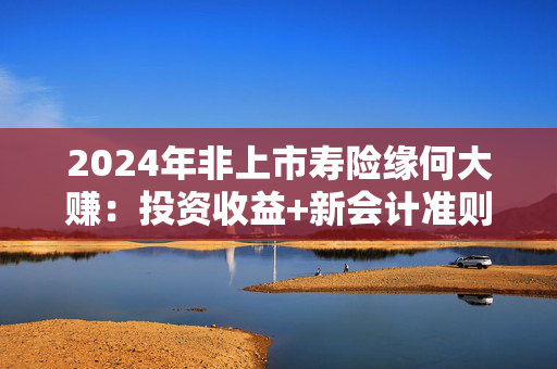 2024年非上市寿险缘何大赚：投资收益+新会计准则