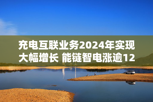 充电互联业务2024年实现大幅增长 能链智电涨逾12%