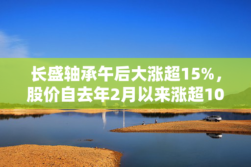 长盛轴承午后大涨超15%，股价自去年2月以来涨超10倍