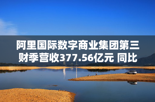 阿里国际数字商业集团第三财季营收377.56亿元 同比增长32%