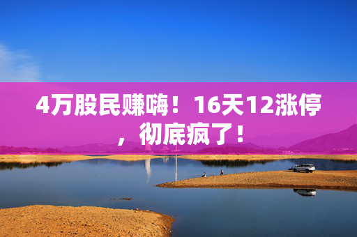 4万股民赚嗨！16天12涨停，彻底疯了！