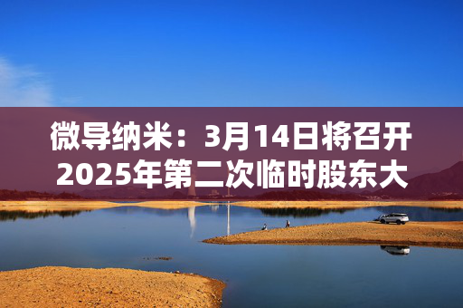 微导纳米：3月14日将召开2025年第二次临时股东大会