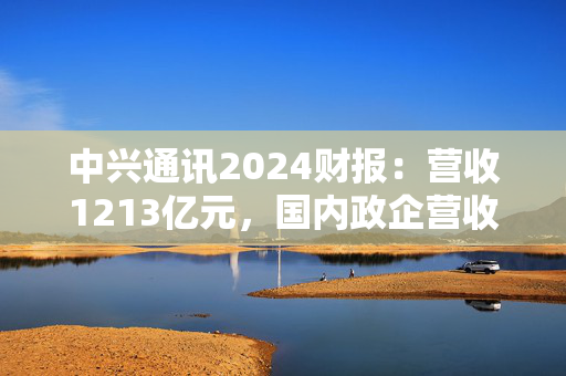 中兴通讯2024财报：营收1213亿元，国内政企营收增60%