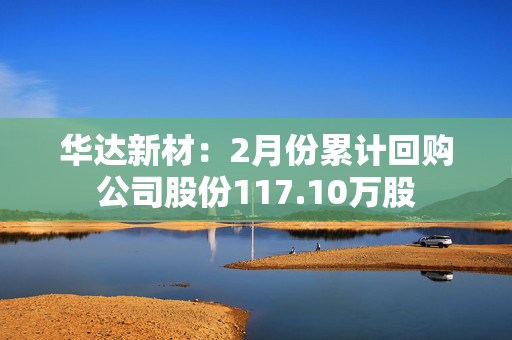 华达新材：2月份累计回购公司股份117.10万股