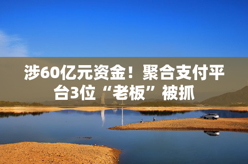 涉60亿元资金！聚合支付平台3位“老板”被抓