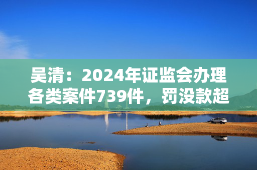 吴清：2024年证监会办理各类案件739件，罚没款超上一年两倍