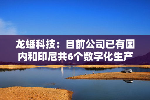 龙蟠科技：目前公司已有国内和印尼共6个数字化生产基地，总建成产能约27万吨