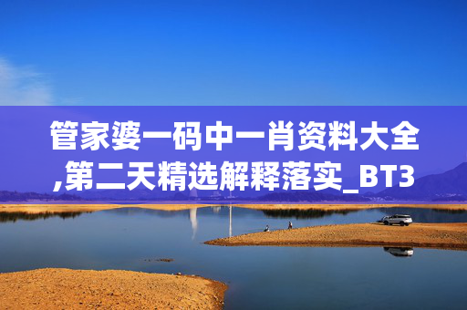 管家婆一码中一肖资料大全,第二天精选解释落实_BT30.69.70V40.05.18