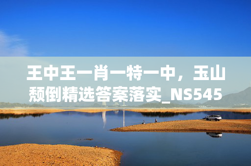 王中王一肖一特一中，玉山颓倒精选答案落实_NS545.49V24.03.62