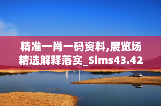 精准一肖一码资料,展览场精选解释落实_Sims43.42.23主页版v630.371