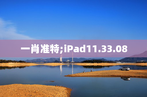 一肖准特;iPad11.33.08