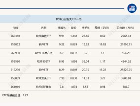 行业ETF风向标丨蛇年“开门大红”，5只软件ETF半日涨幅超8%