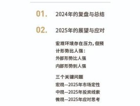 清和泉年度策略|2025发展重回优先：形势比人强