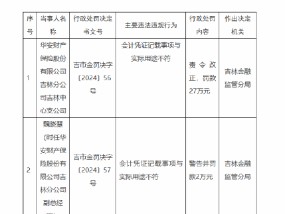 华安财险吉林分公司吉林中心支公司被罚27万：会计凭证记载事项与实际用途不符