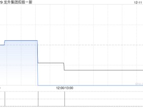 龙升集团控股委任丁昕为独立非执行董事